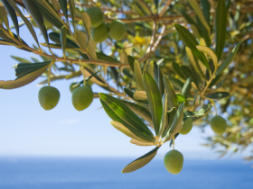 Crete in Autumn