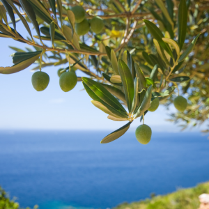 Crete in Autumn