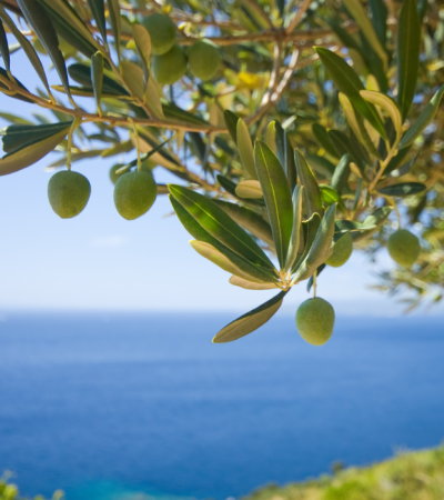Crete in Autumn